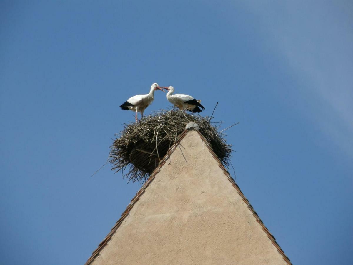Gite Edelweiss A Eguisheim Eksteriør billede
