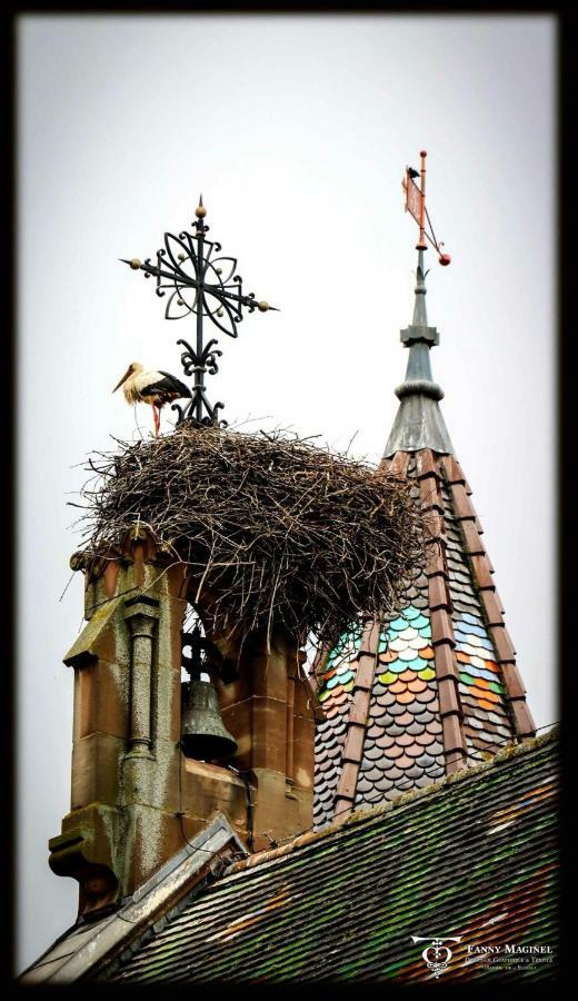 Gite Edelweiss A Eguisheim Eksteriør billede