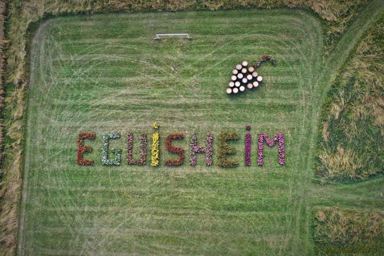 Gite Edelweiss A Eguisheim Eksteriør billede